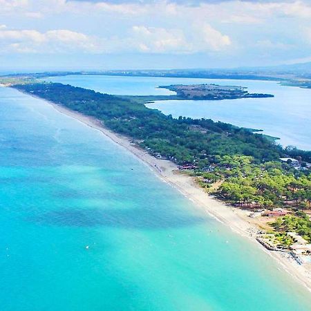 Chambres D Hotes A 20 Pas De La Plage Люссиана Экстерьер фото